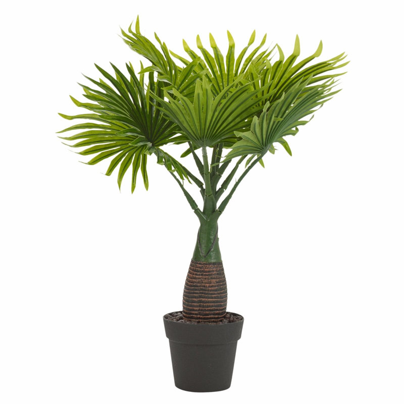Bay Isle Home Floor Palm Tree in Pot & Reviews Wayfair.co.uk